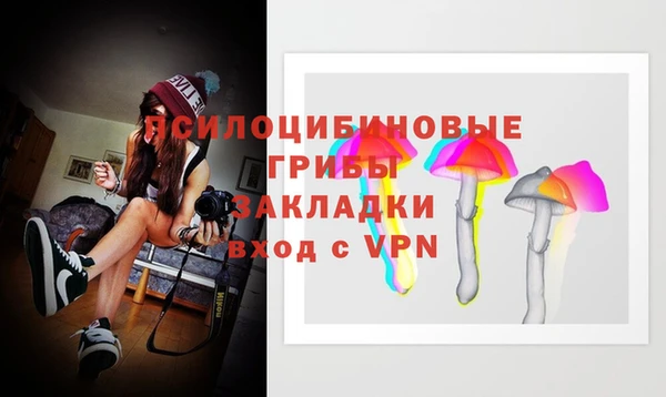 COCAINE Майский