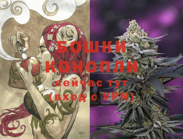 стафф Магадан