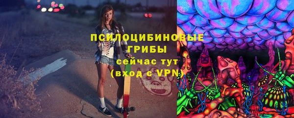 дживик Магас