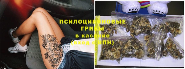 COCAINE Майский