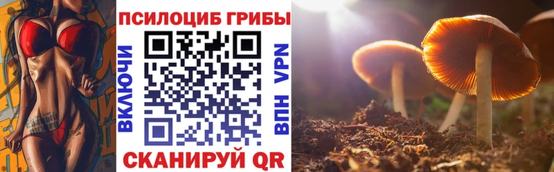 Галлюциногенные грибы прущие грибы  blacksprut сайт  Южа  сайты даркнета как зайти  цена наркотик 